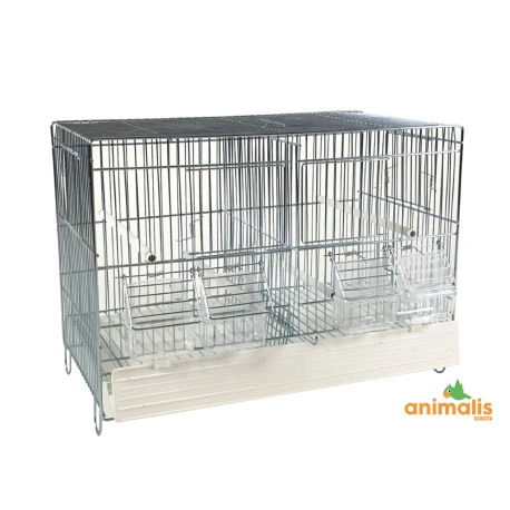 Cages Domus-Molinari 45cm Blanche 1 Cages Domus-Molinari 45cm Blanche
