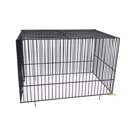 Dôme Cage D'exposition Frisé 1 Dôme Cage D'exposition Frisé