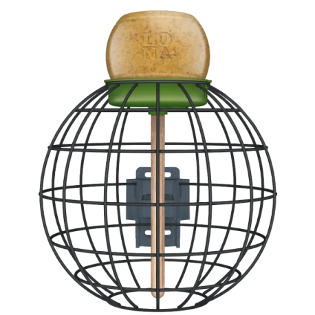 Mangeoire Lona "Voerkooi V2" - Vert - 20x20cm 1 Mangeoire Lona "Voerkooi V2" - Vert - 20x20cm