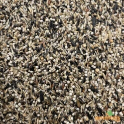 Mélange De Graines Pour Tarins Américains Et Européens 15kg - Hoebre -Alimentation Oiseaux Soldes melange de graines pour tarins americains et europeens 15kg 2