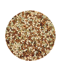 VERSELE-LAGA Mélange Liégeois - 25kg -Alimentation Oiseaux Soldes melange liegeois 25kg 1