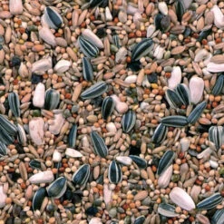 Grandes Perruches Duvo 20 Kg -Alimentation Oiseaux Soldes melange pour grandes perruches 20 kg duvo 3