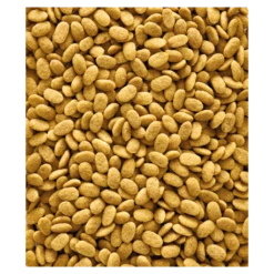 VERSELE-LAGA Nutribird P15 Original 10kg - Granulés Extrudés - Aliment D'entretien Pour Perroquets -Alimentation Oiseaux Soldes nutribird p15 original 10kg granules extrudes aliment d entretien pour perroquets 1