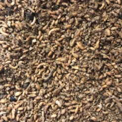 Duvo Pâtée Insectivore Avec 60% D'insectes 1kg