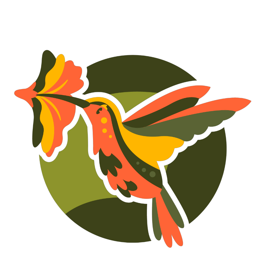 Alimentation Oiseaux Soldes