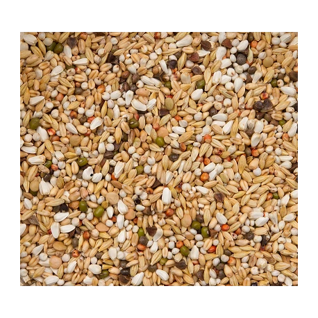 Premium Verkerk Light 20kg - Beyers 2 Premium Verkerk Light 20kg - Beyers – Image 2