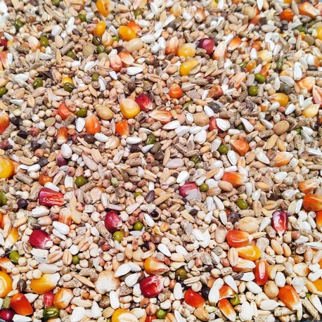 Sport Ultra Pro Revolution 20kg - Numéro 53 - Vanrobaeys 1 Sport Ultra Pro Revolution 20kg - Numéro 53 - Vanrobaeys