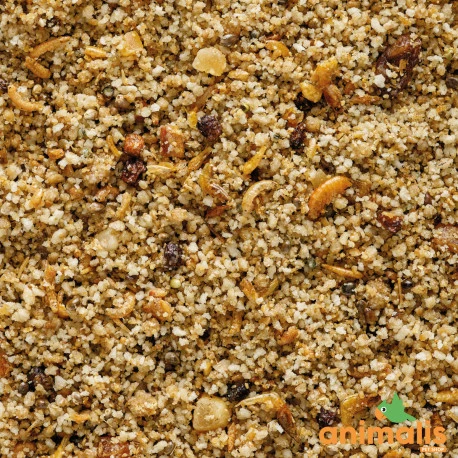 VERSELE-LAGA Uni Pâtée 5kg - Aliment Complet Pour Les Petits Frugivores Et Insectivores 2 VERSELE-LAGA Uni Pâtée 5kg - Aliment Complet Pour Les Petits Frugivores Et Insectivores – Image 2